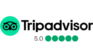 Tripadvisor Reviews 5 off 5 bubbles