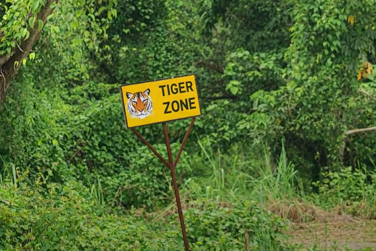 Tiger Zone sign in forest, Chitwan National Park, Nepal