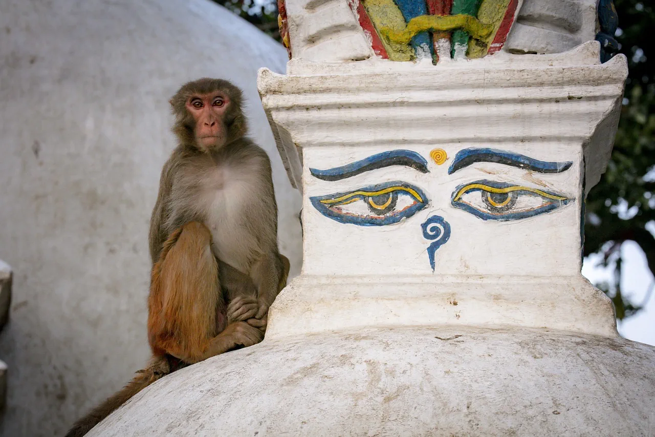 Swayambhunath Temple Entrance Fee Guide